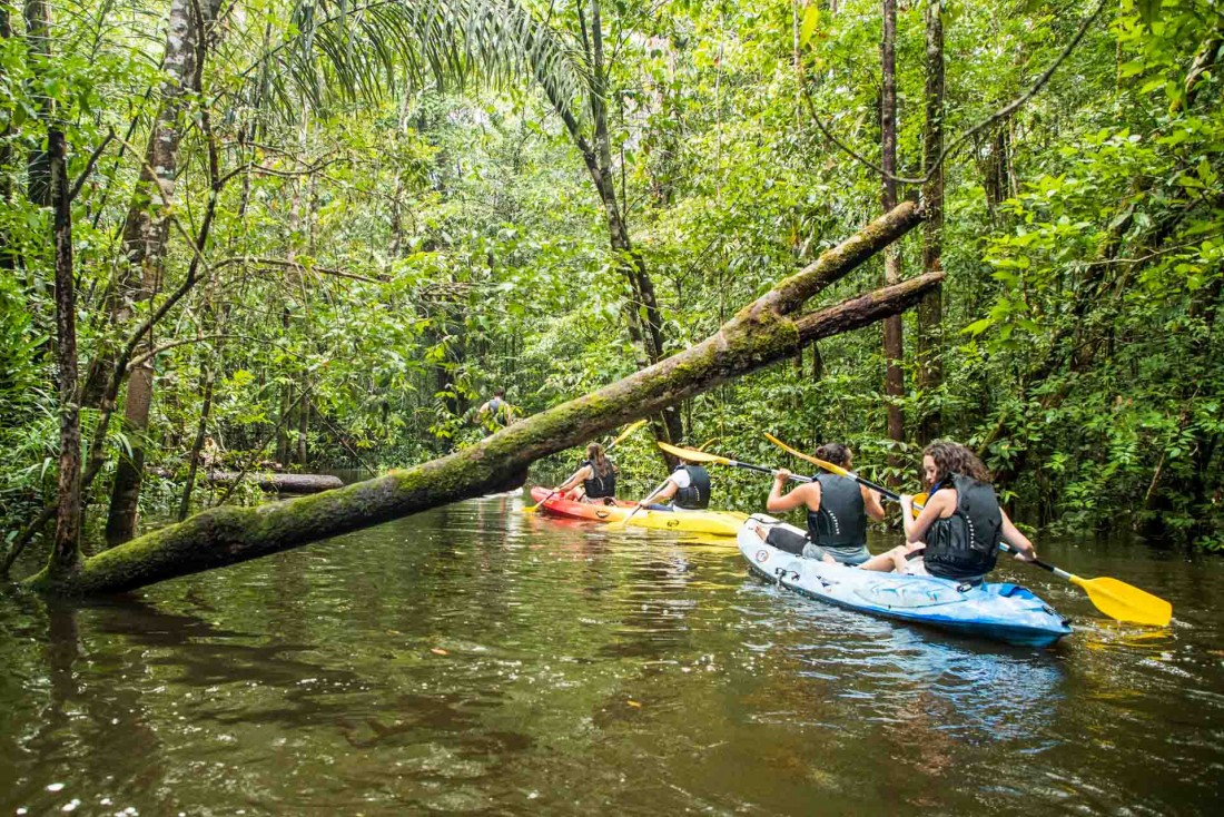 Remonter une rivière en pleine Amazonie pour une expérience unique dans l'un des endroits les plus isolés de la planète © Wladimir Kinno