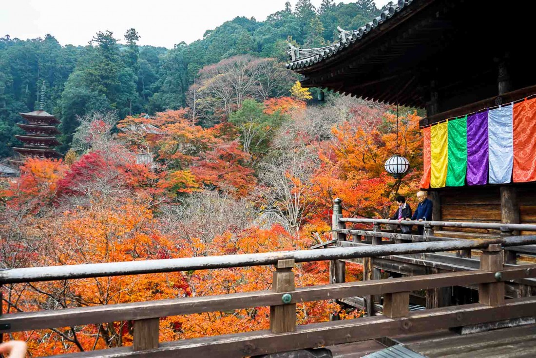 Le temple Hase-dera surplombe les collines chatoyantes pendant l'automne, l'une des plus belles saisons de l'année © YONDER.fr 
