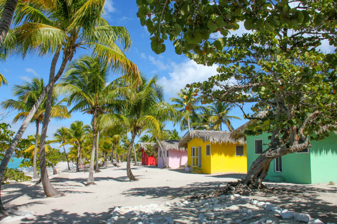 Isla Catalina © AdobeStock