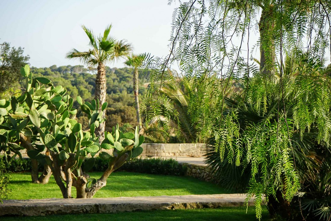 La propriété historique se distingue par ses luxuriants jardins en restanques, uniques à Minorque © Yann Deret