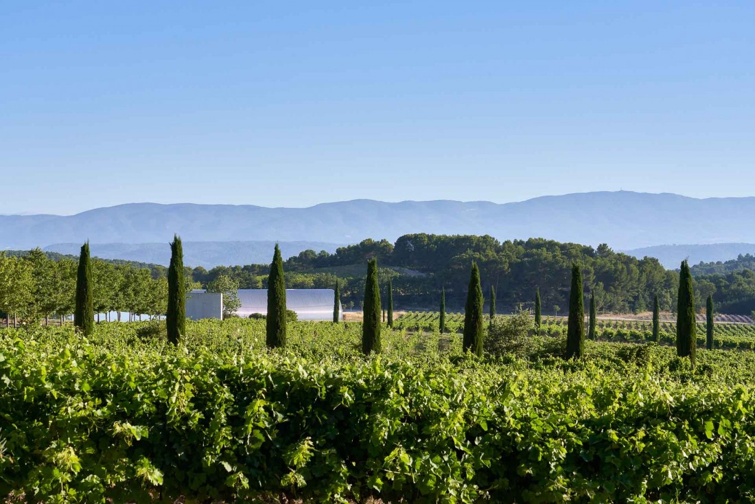 Le Château La Coste entouré d'un vignoble de 125 hectares cultivés en biodynamie © Richard Haughton