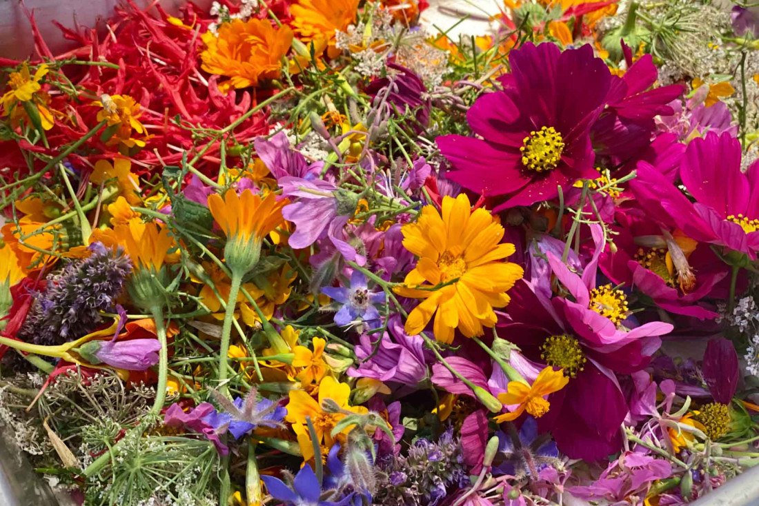 Les fleurs des plateaux d’Aubrac, dans les cuisines de Cyril Attrazic © Emmanuel Laveran