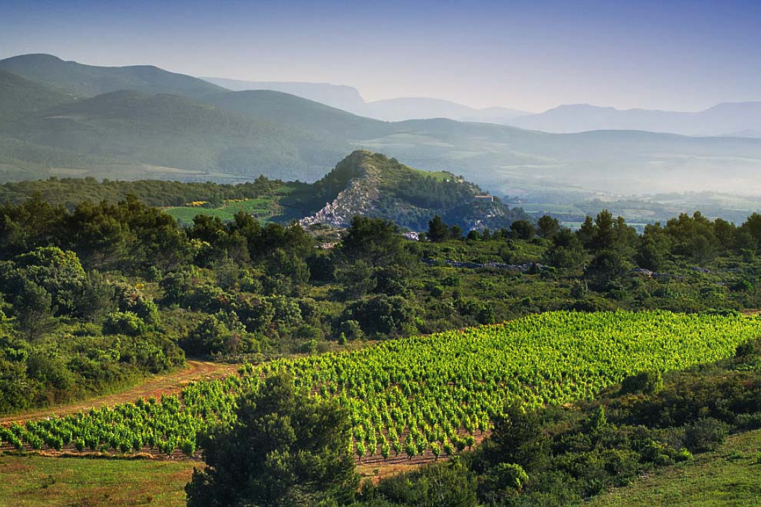Les vignobles de Saint Chinian au cœur du Parc du Haut Languedoc© G.Deschamps - CRTL Occitanie