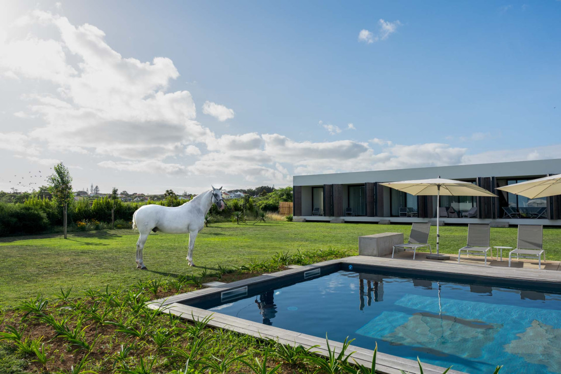 Lvsitano Garden Villas, l'un des plus beaux hôtels où pratiquer l'équitation