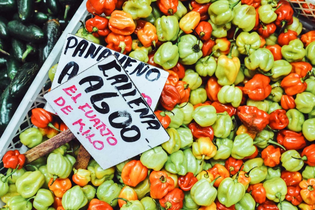 Au Mercado Central © Constance Lugger