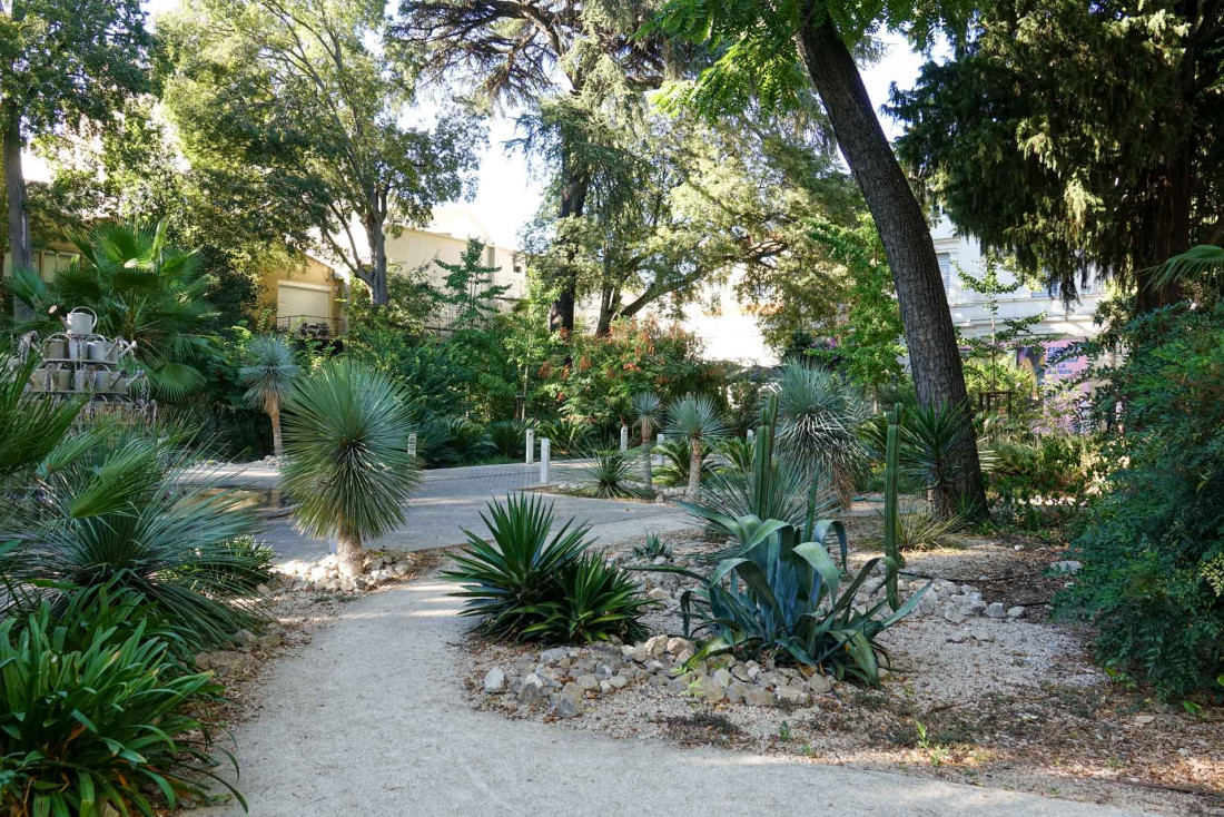 Que faire à Montpellier ? Visiter le jardin du Mo Co © Christelle Zamora