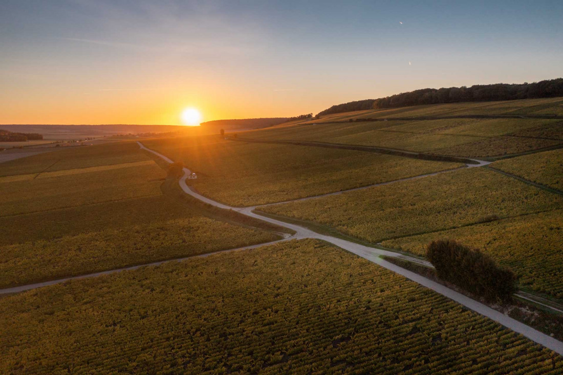 Les vignes à Montgueux © Studio OG