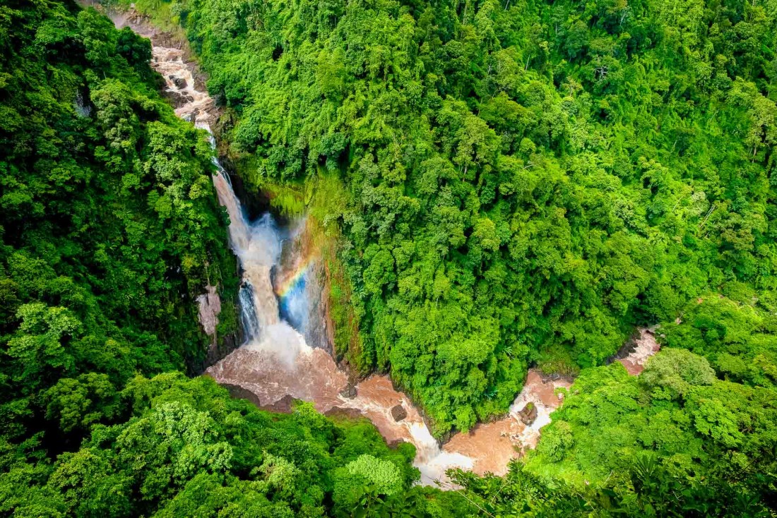 Le parc national Khao Yai National est reconnu pour sa nature luxuriante et ses cascades © DR