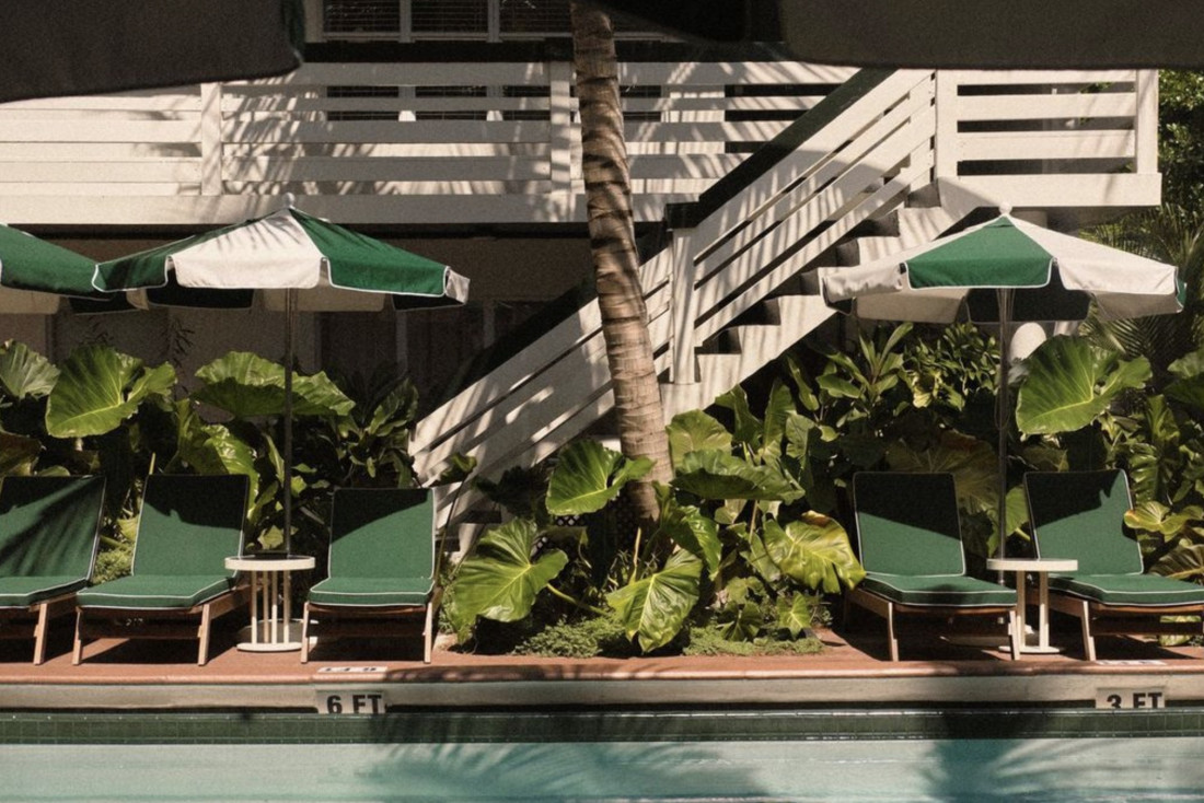 Perroquet Hotel, un nouvel hotel en Floride © DR