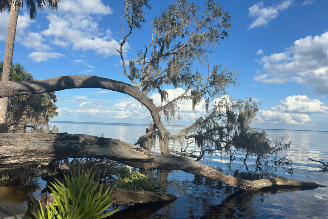 Entre Ocala et Amelia Island: 10 raisons de découvrir le Nord de la Floride © Pascale Missoud