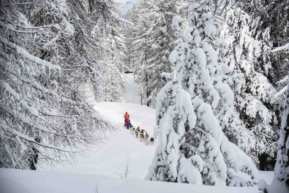 Que faire cet hiver dans les Alpes du sud ? © Manumolle