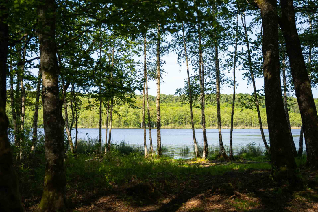 Réserve Naturelle de la Tourbière de la Grande Pile © Bothbetter