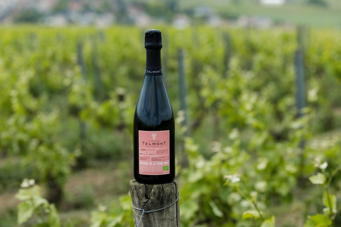 Les meilleurs champagnes biologiques © Telmont