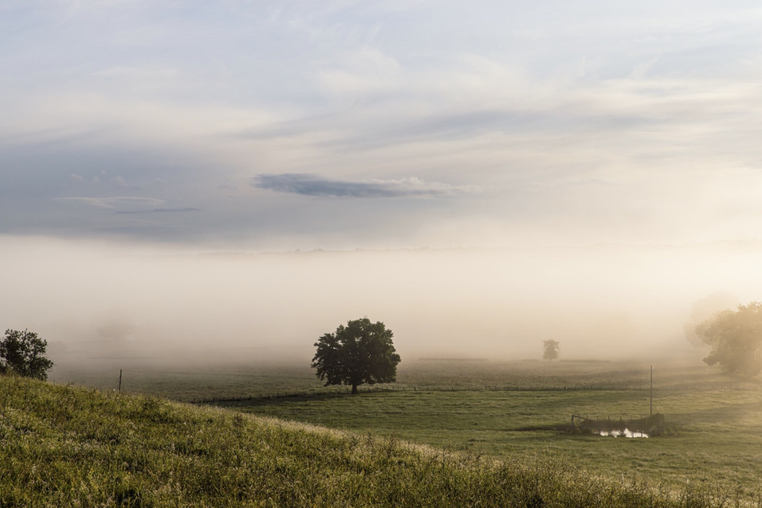 Notre avis sur La Colline du Colombier, l'adresse de Léo Troisgros © Léa Gil