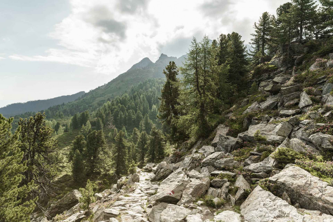 Le chemin de randonnée Inntaler Höhenweg à Tulfes © Sebastian Schels