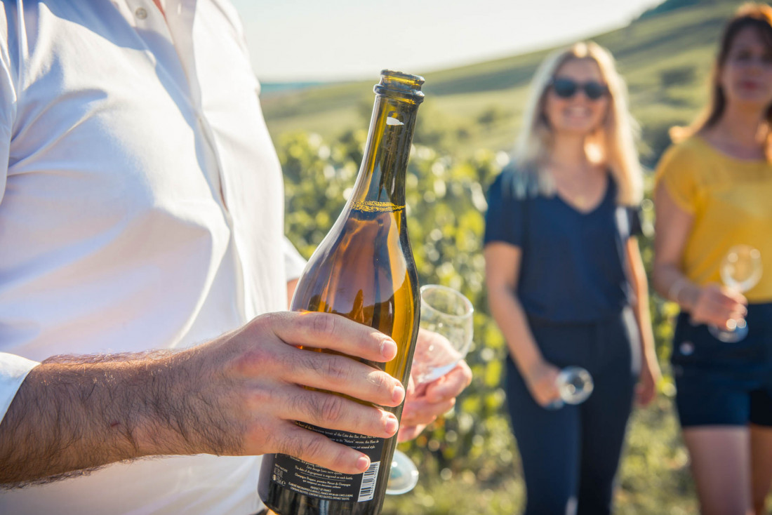 Visite et dégustation au Champagne Drappier © My Wine Break