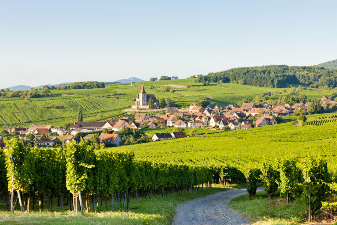 Le paysage alsacien et ses vignobles, ici le village d'Hunawihr © Istock