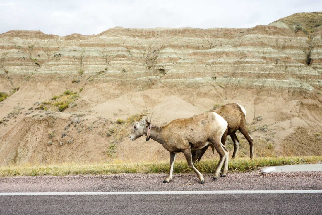 Bienvenue au Parc national des Badlands, l'un des deux parcs nationaux du Dakota du Sud © YONDER.fr