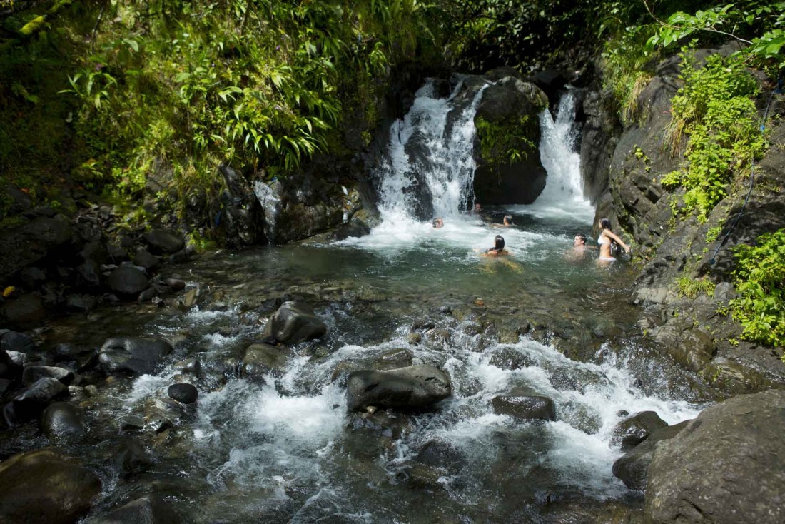 Le centre de l'île de Tahiti abrite une jungle épaisse à découvrir en compagnie d'un guide © Tahiti Tourisme