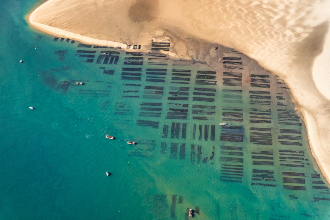 Les parc à huîtres dans le bassin © Jean-Philippe Bellon