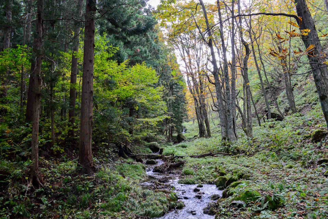 Des sources thermales s’écoulent dans les montagnes autour de Zao Onsen. © Pierre Gunther