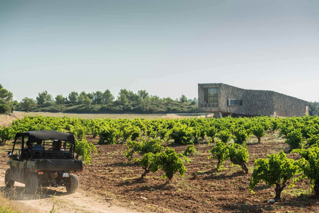 Castigno produit également du vin et possède un chais d'architecte © DR