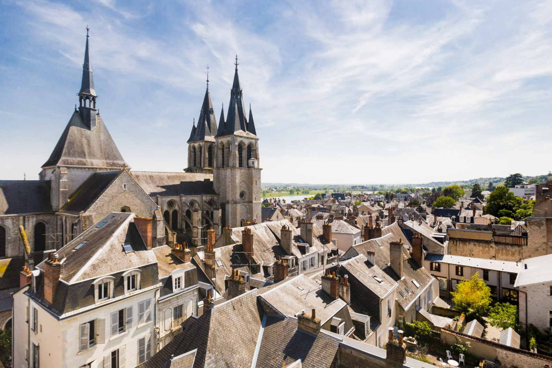 Le château royal d'Amboise domine la ville et le fleuve © Dorian Mongel