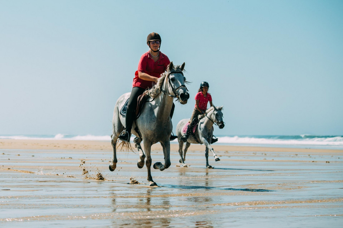 Cheval sur les plages des Landes © Sébastien Chebassier