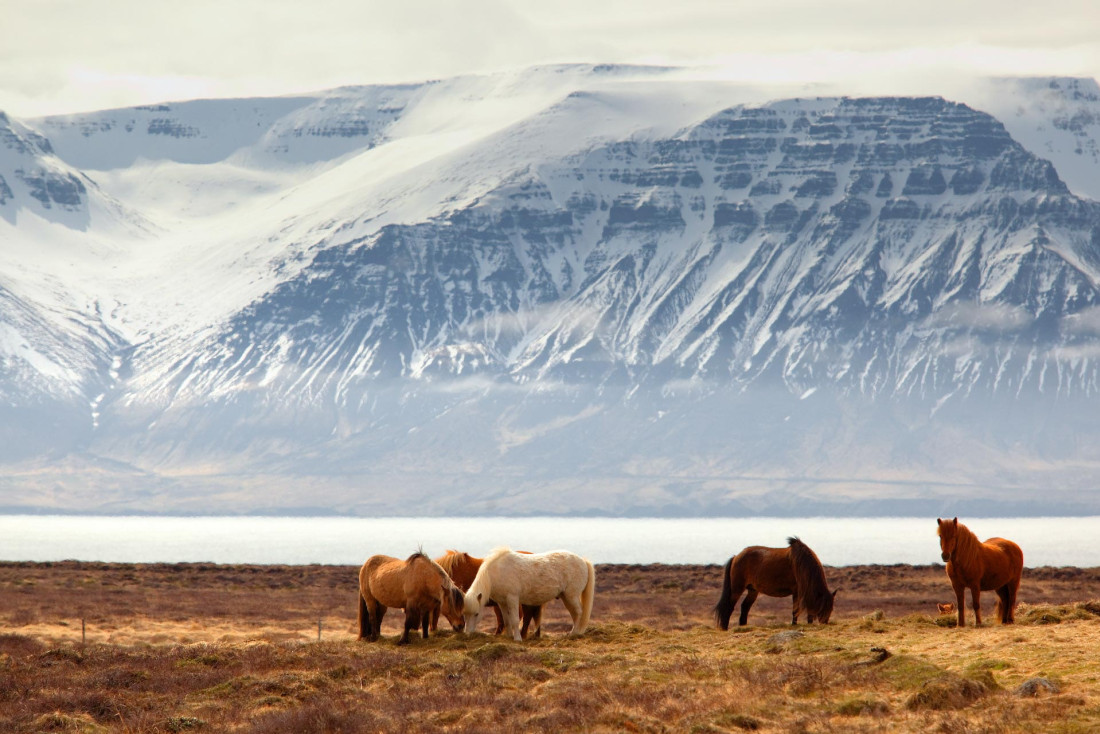 Un itinéraire en Islande d'une semaine par Yonder.fr