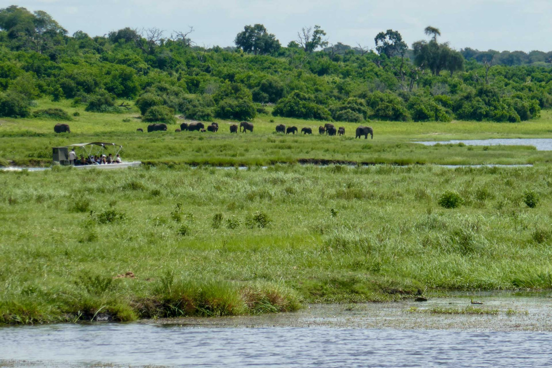 Notre avis sur la croisière-safari CroisiEurope en Afrique australe © Pierre Gunther