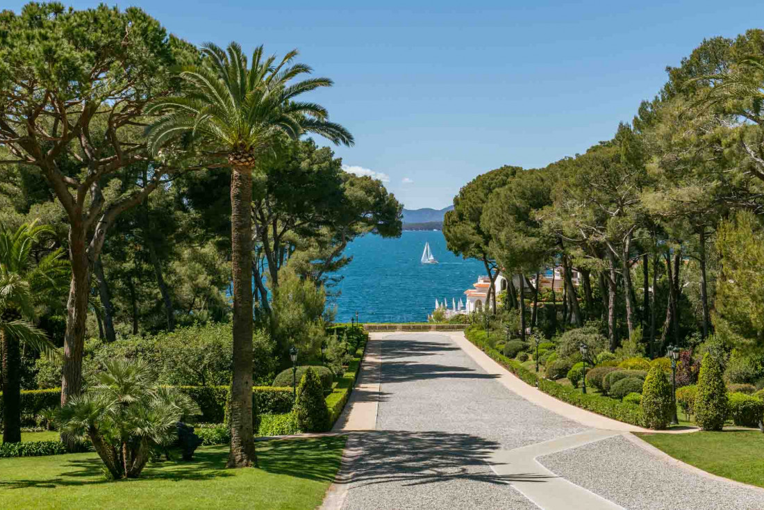 La grande allée de l'Hôtel du Cap-Eden-Roc au cap d'Antibes © DR