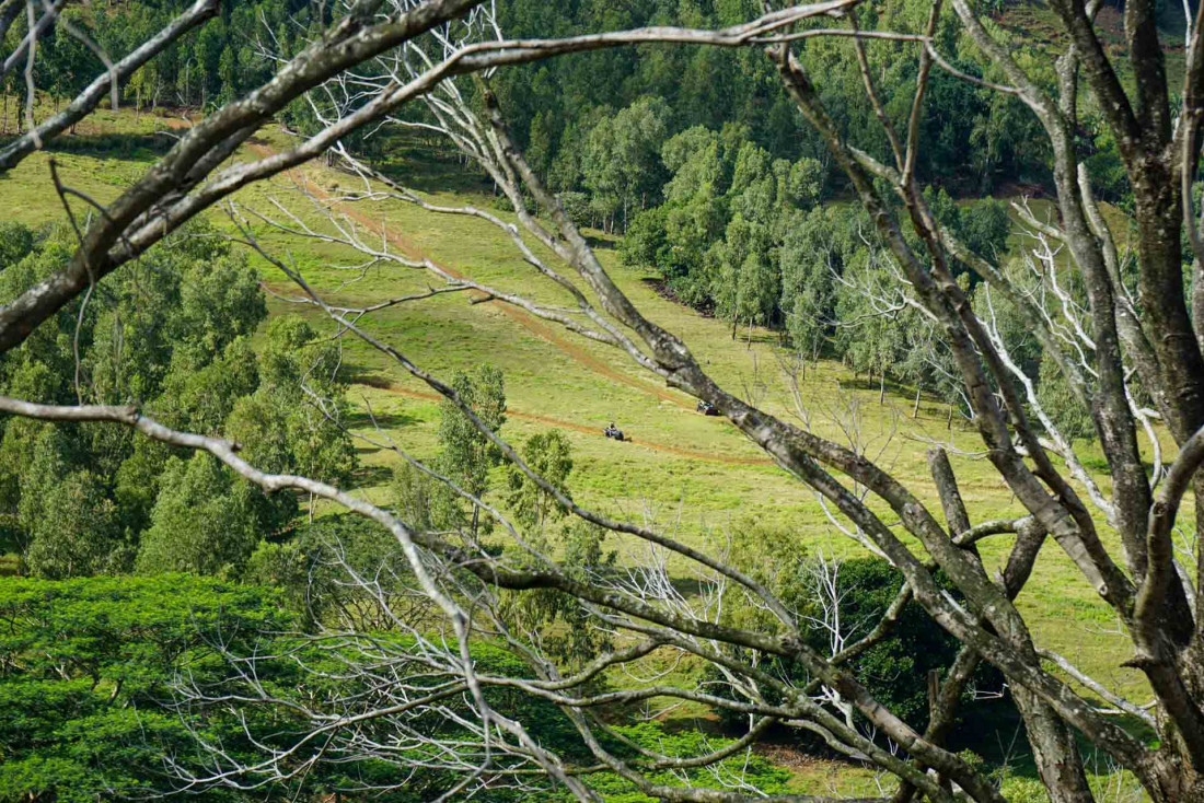 Excursion en 4x4 dans la Réserve de Bel Ombre, qui abrite de nombreuses espèces endémiques de Maurice © Circé Lefebvre