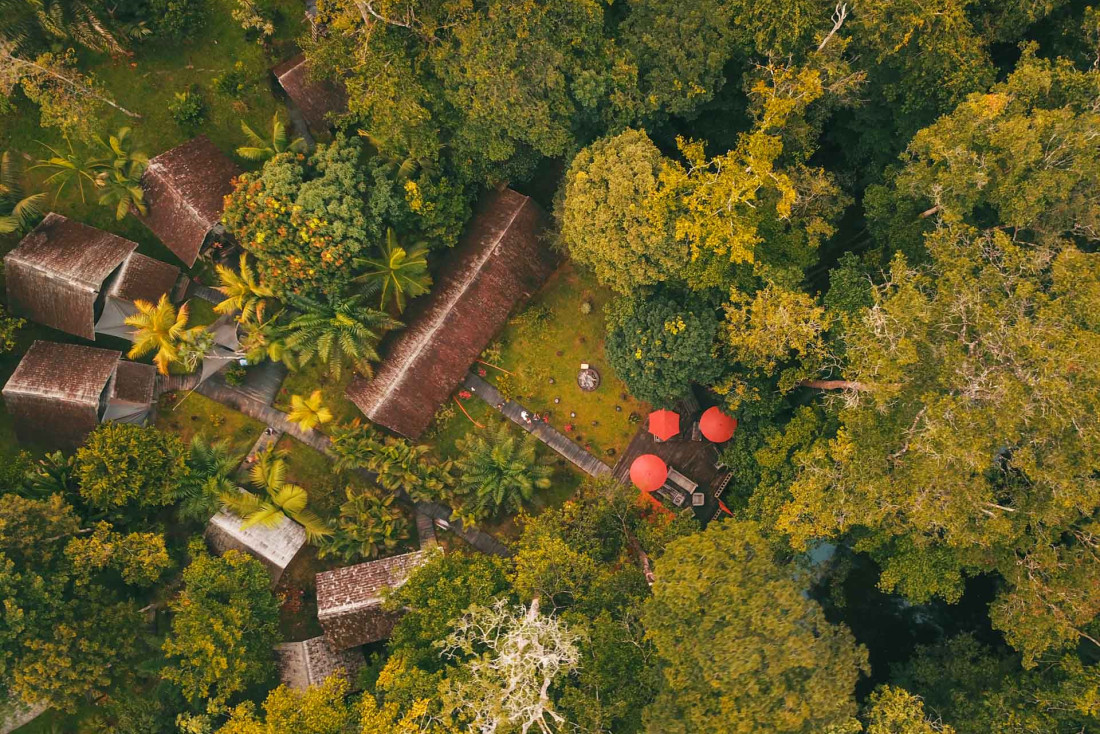 La forêt amazonienne, paradis de la biodiversité et des randonnées © Atout France