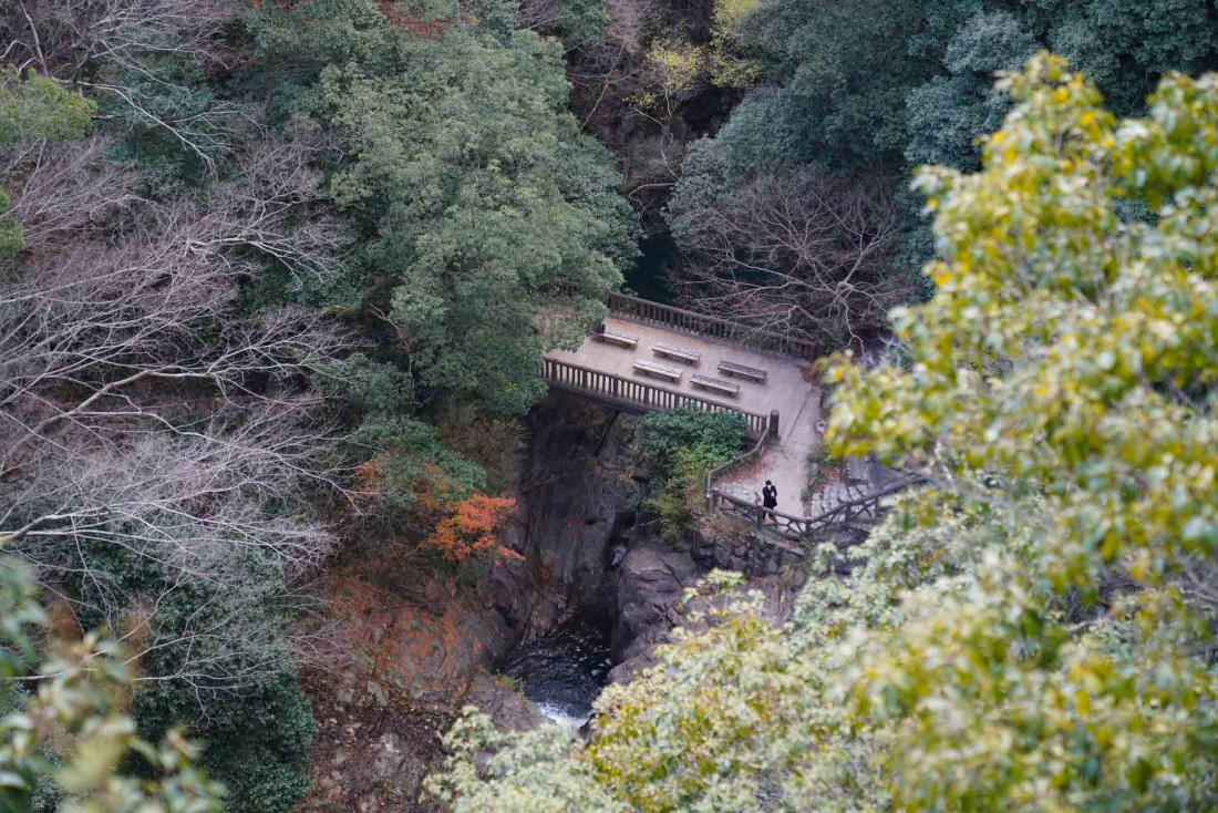 Le jardin botanique de Kobe © DR