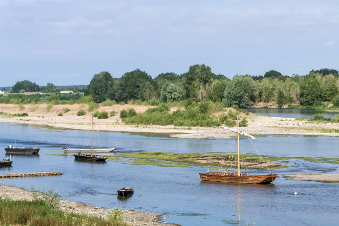 Le Loire est le dernier grand fleuve sauvage de France © Guillaume Techer