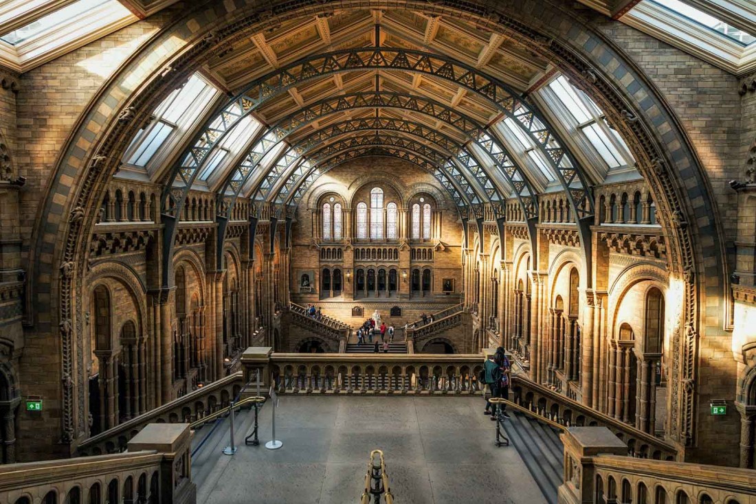 Le Musée d'histoire naturelle de Londres © Claudio Testa