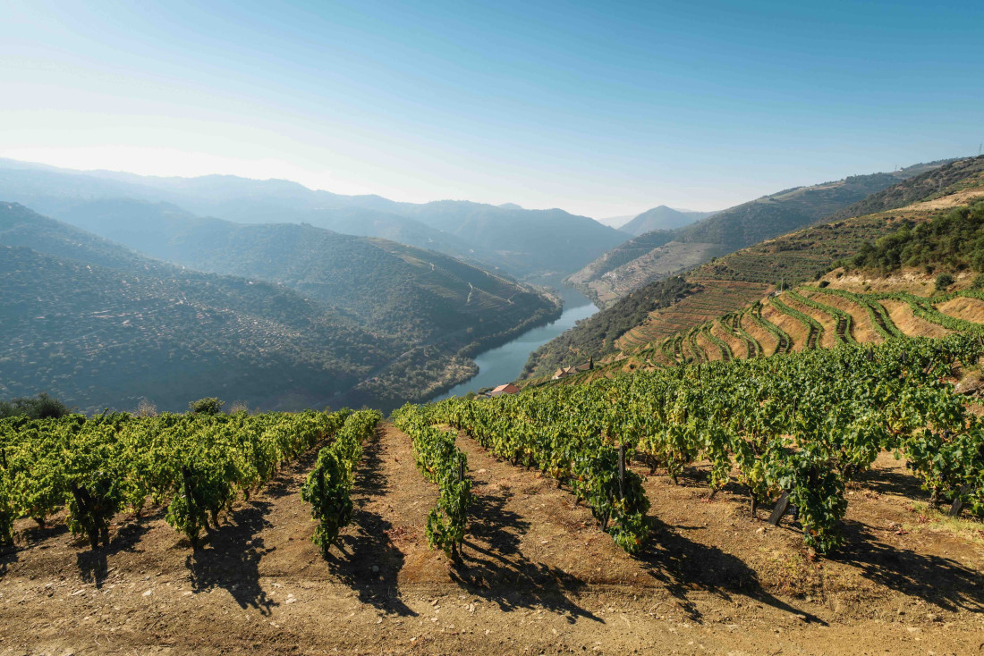 Notre avis sur la Quinta São José do Barrilário, nouvel hôtel dans le Douro © Maksym Kaharlytskyi