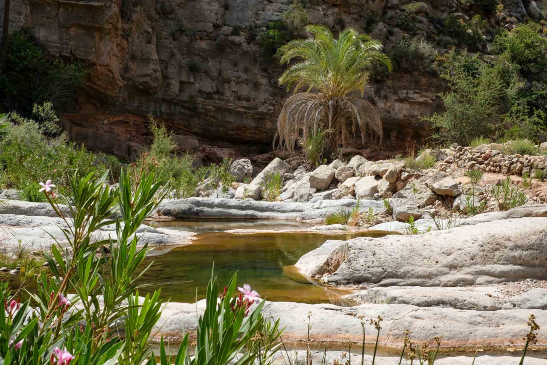 Les environs de l'hôtel et le sud du Maroc, où le désert rencontre les oasis © Jean-François Guggenheim