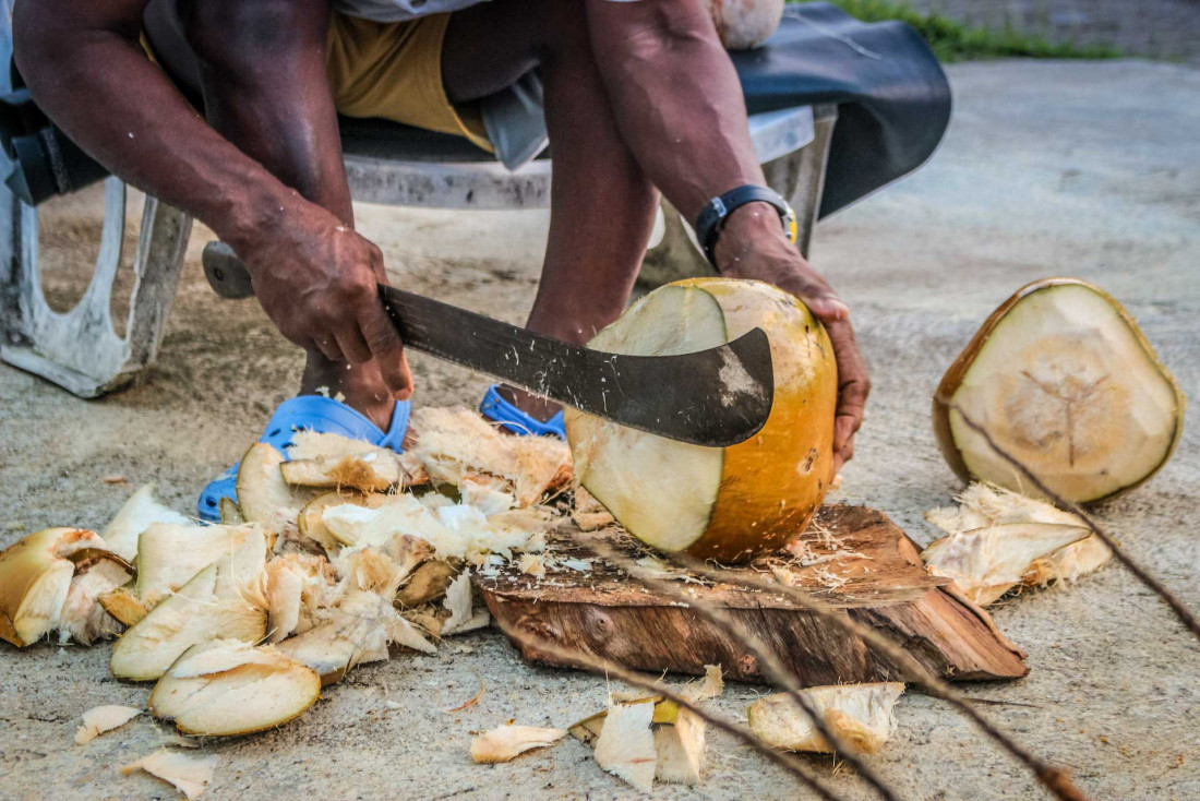 Martinique © Jametlene Reskp