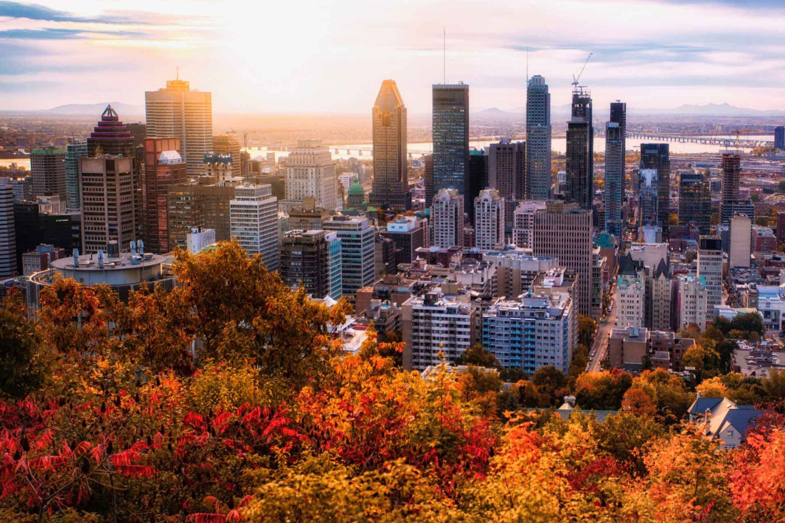 Que faire à Montréal toute l'année ? © Adobestock