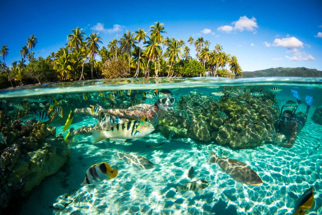 Plongée dans le lagon de Moorea © David Kirkland