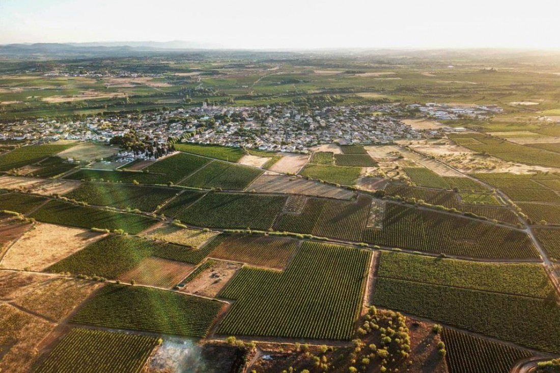 Dans la campagne autour d'Avignon, les vignes sont le but d'escapades gourmandes © Domaine des Amiel