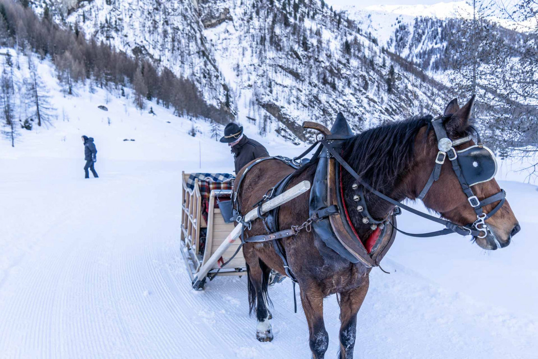 Balade en calèche à Peisey-Vallandry © Elliot Gieu 