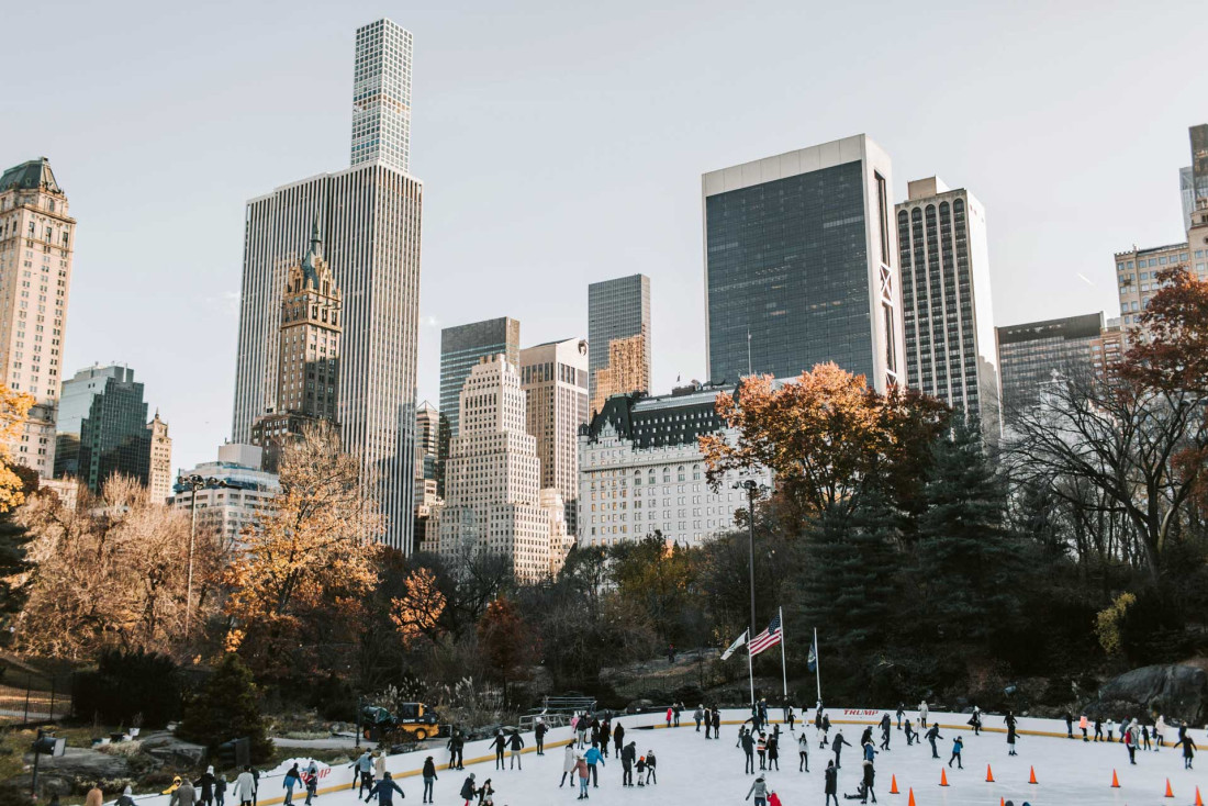 Visiter New York en hiver ©Vlada Karpovich