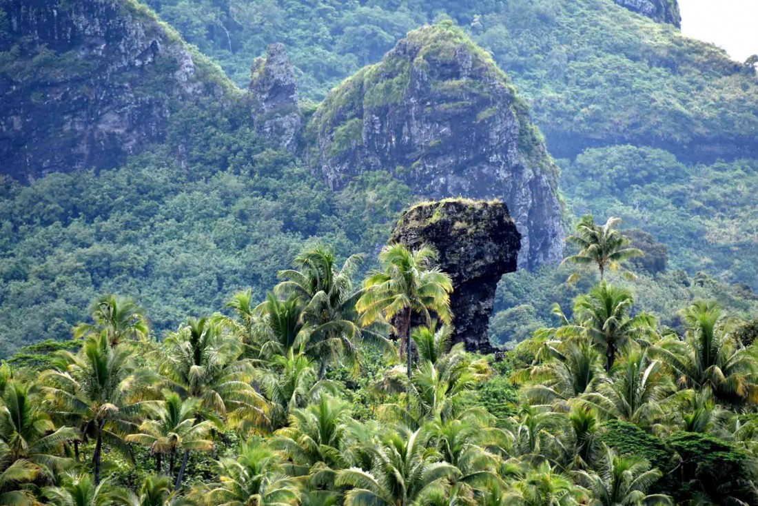 Connues pour leurs eaux turquoise, les îles de la Société abritent aussi une forêt luxuriante où randonner © Tahiti Tourisme