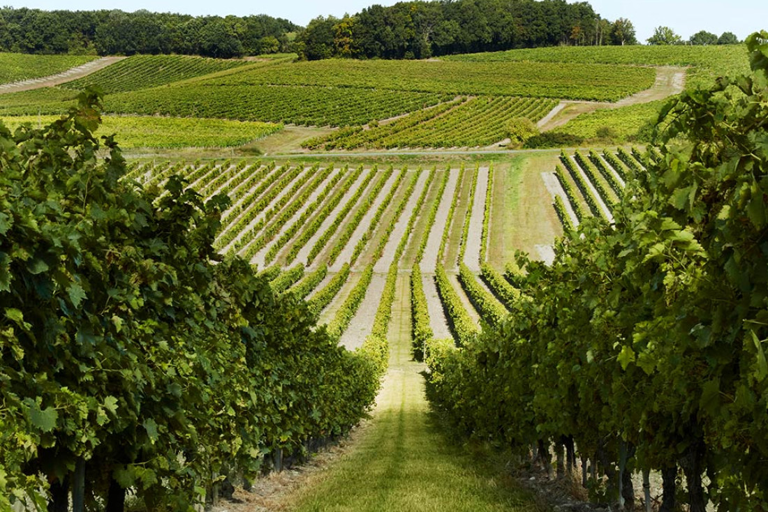 Cognac, l'autre capitale de l'œnotourisme français © DR