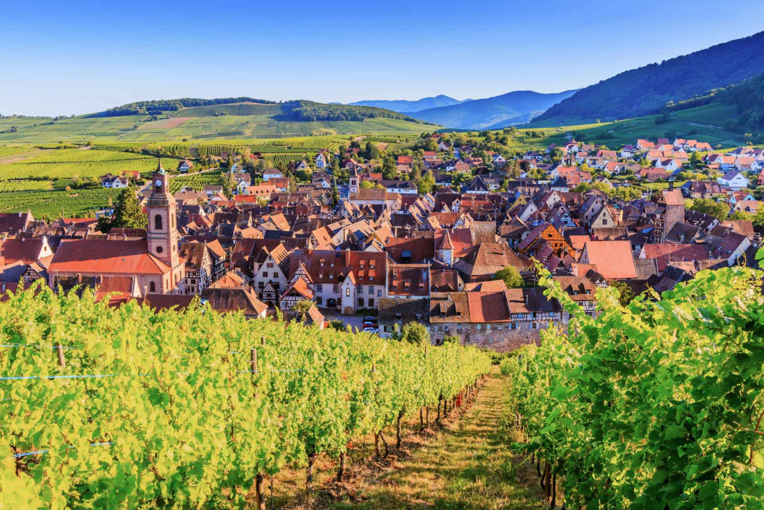 Riquewihr sur la route des vins d'Alsace © AdobeStock