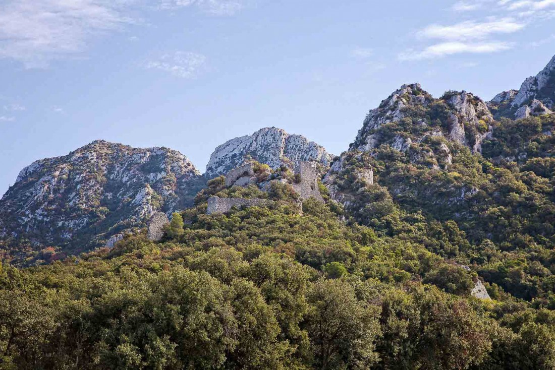 Le vignoble du Château Romanin, sur les pentes des Alpilles © Lionel Moulet