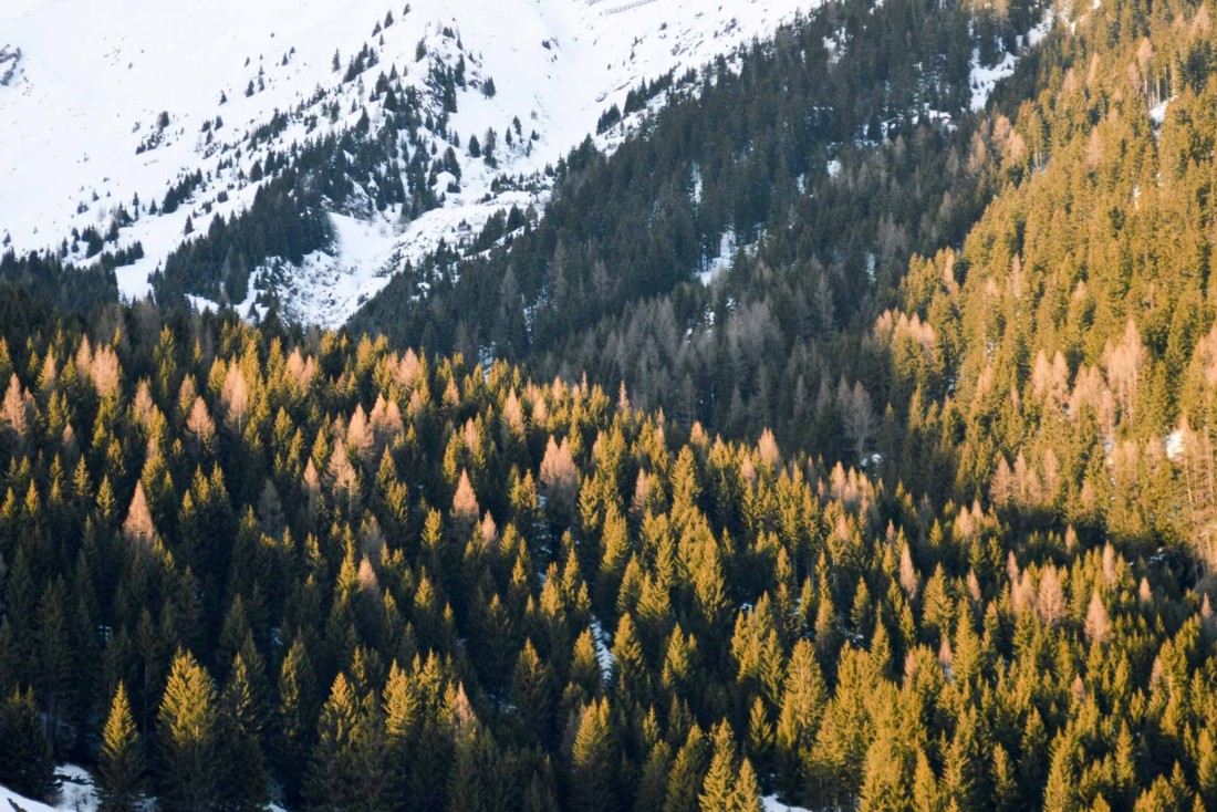 Randonnée, raquettes et ski de fond sont également proposés sur le domaine © Pierre Gunther