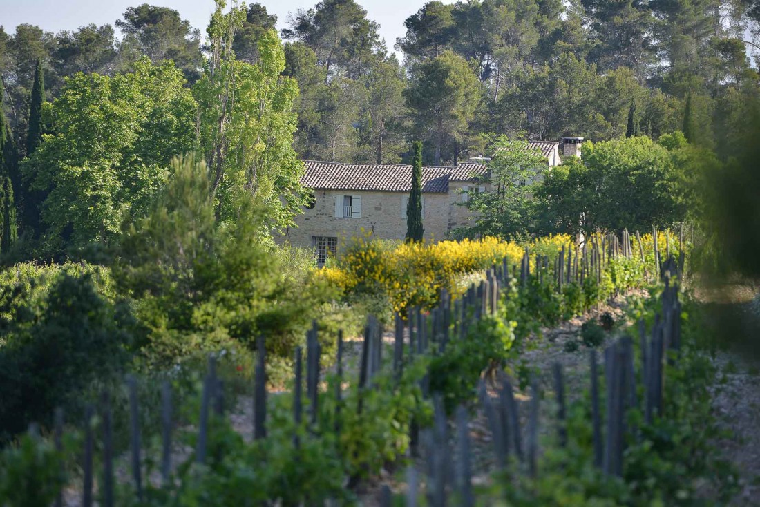 Le Domaine de Trévallon sur le versant nord des Alpilles © Domaine de Trévallon